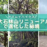 沖縄最北端の秘境アスムイハイクス完全ガイド｜旧大石林山リニューアルで体験するスピリチュアルな絶景と神話の森