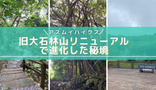 沖縄最北端の秘境アスムイハイクス完全ガイド｜旧大石林山リニューアルで体験するスピリチュアルな絶景と神話の森